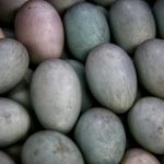 How many calories are in a duck egg?