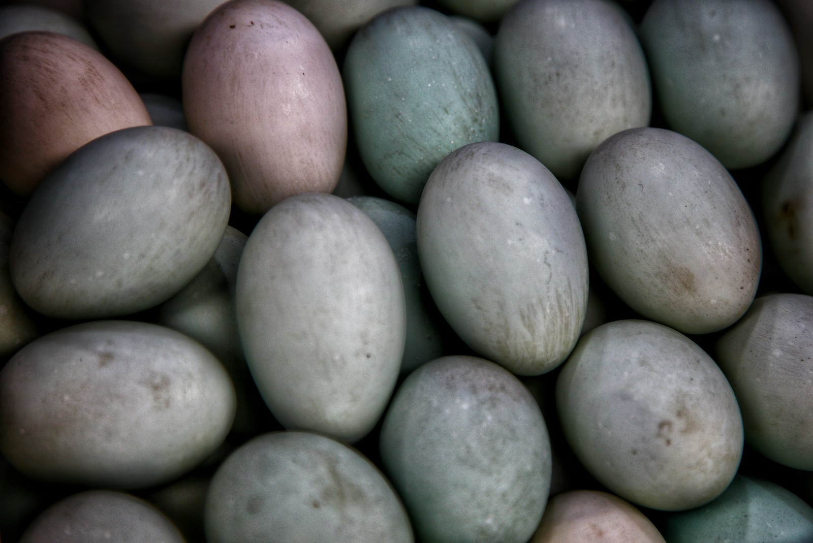 How many calories are in a duck egg?
